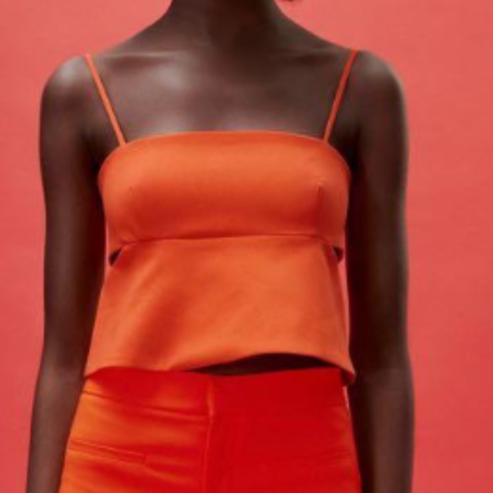 Zara Orange Crop Top